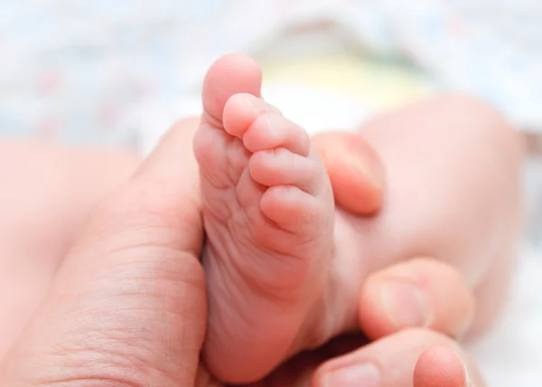 Нога ребенка в руке — стоковое фото