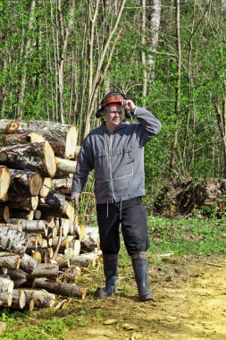 Lumberjack near a pile of logs clipart