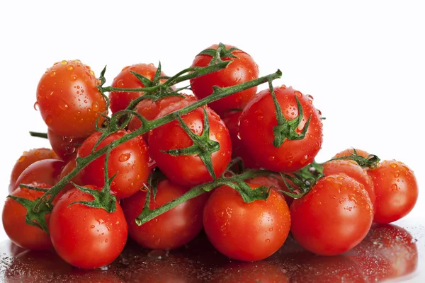 白い背景の上のトラスのトマト — ストック写真