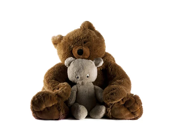 Zwei Teddybären — Stockfoto