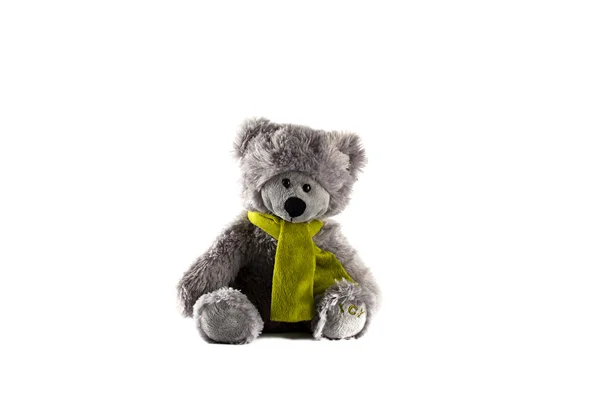 Grauer Teddybär — Stockfoto