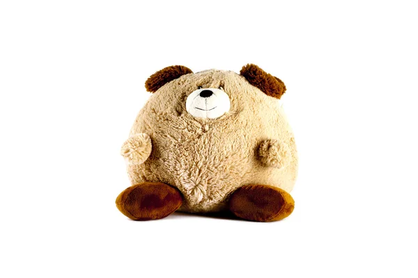 Dicker brauner Teddybär — Stockfoto
