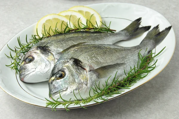 stock image Gilthead with lemon