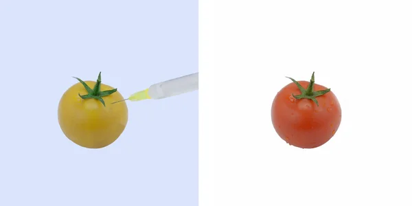 Injection of a substance in tomatoes — Stock Photo, Image