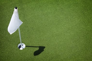 Golf Sahası yeşil - delik ve bayrak