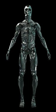 Cyborg Human Skeleton Android 3D clipart