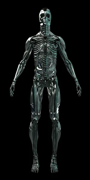 Человеческий скелет-киборг Android 3D — стоковое фото