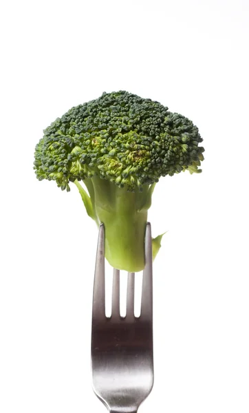 Broccoli on fork isolated on white — Stock Photo, Image