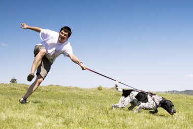 Man playing with his dog on sunny summer day clipart