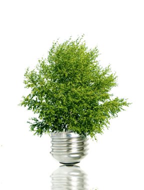 Tree in light bulb symbolizing green energy clipart