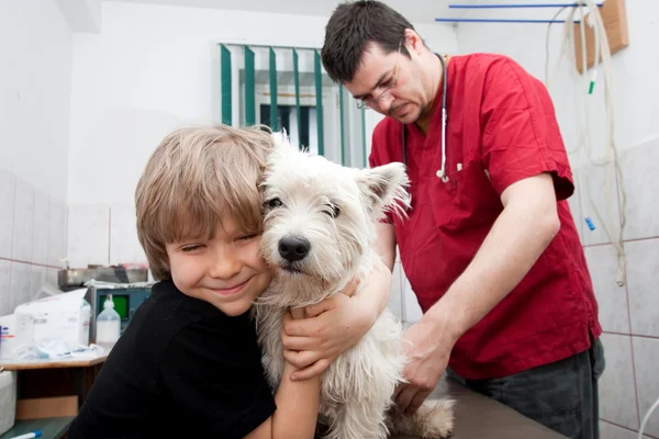 Маленький мальчик держит своего Вести у ветеринара — стоковое фото