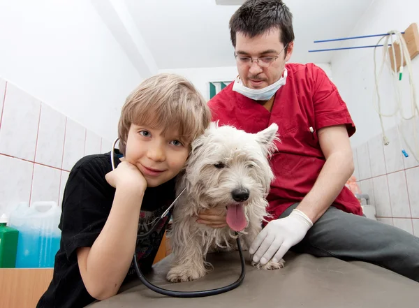 Petit garçon tenant sa Westie chez le vétérinaire — Photo