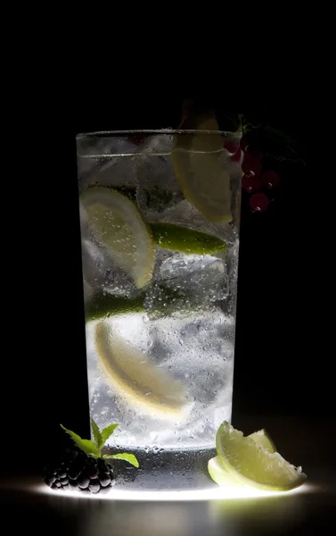 Cocktail de rafraîchissement au citron et citron vert — Photo