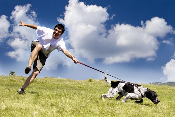 stock image Man playing with his dog on sunny summer day