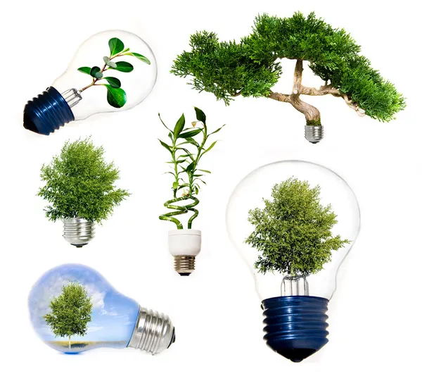 Collection of green energy symbols — Zdjęcie stockowe