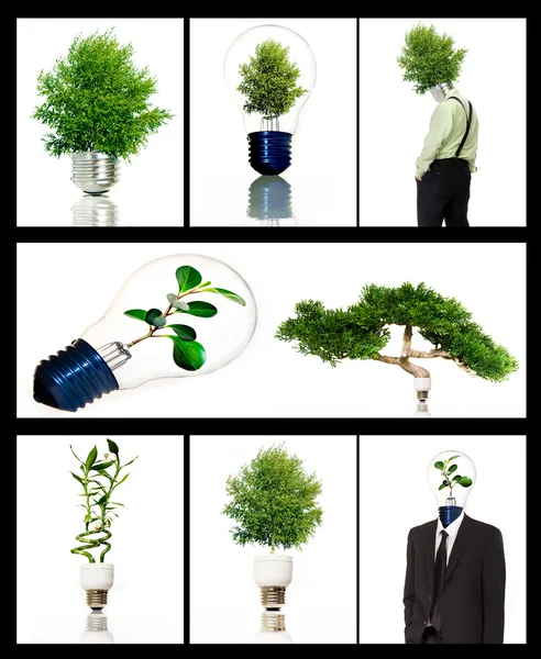 Collection of green energy symbols — Zdjęcie stockowe
