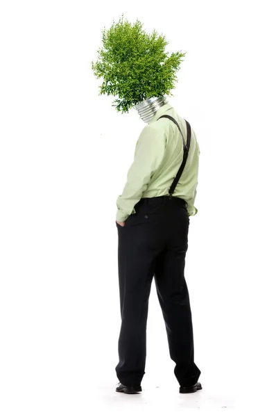 グリーン エネルギーを象徴する木から成っている彼の頭の電球を着た男 — ストック写真