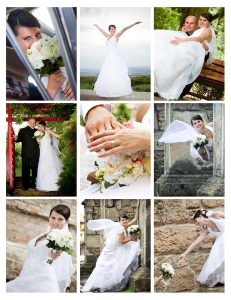 Колаж весільних фотографій — стокове фото