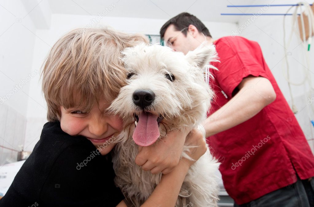 Little boy holding his Westie at the veterinarian