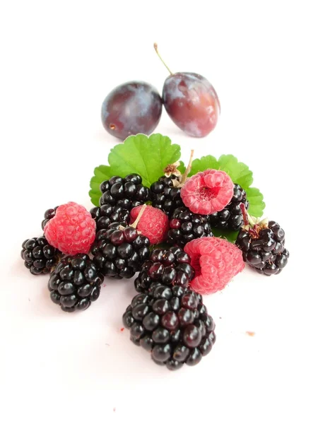 Gruppe von Beeren — Stockfoto