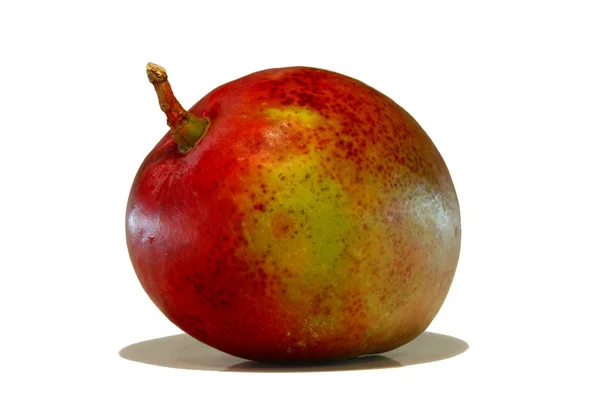 Bliska mango — Zdjęcie stockowe