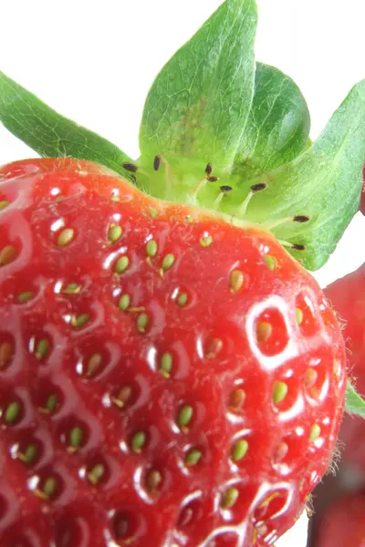 Φράουλα Close_up — Φωτογραφία Αρχείου