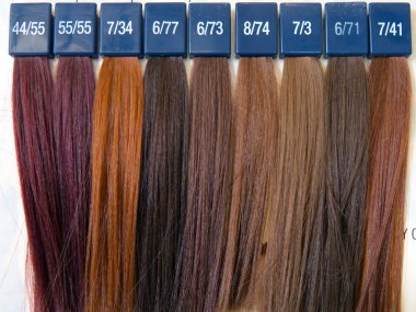 Samples of colors for hair