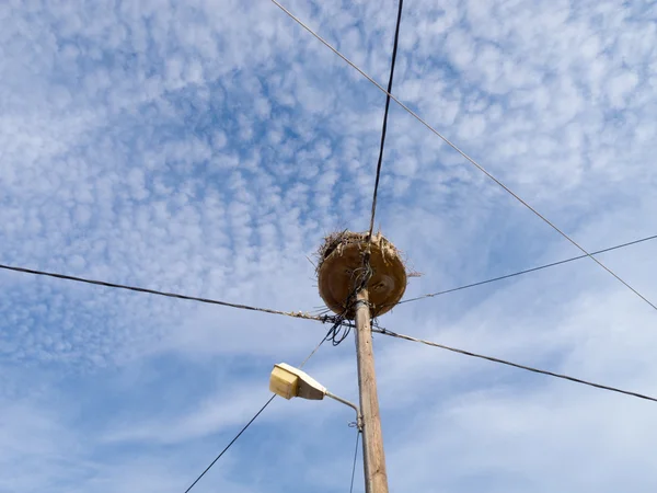 Storchennest auf einem Mast mit Stromkabeln — Stockfoto
