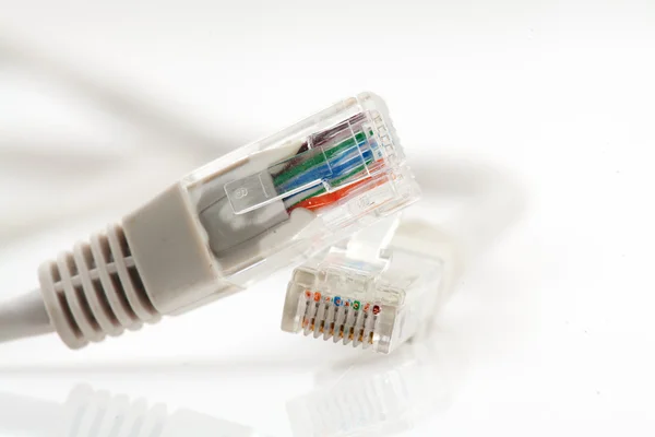 stock image Ethernet cable for a computer