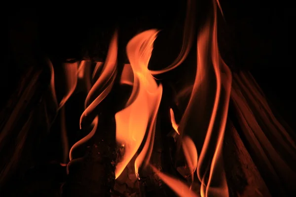 Malý oheň — Stock fotografie
