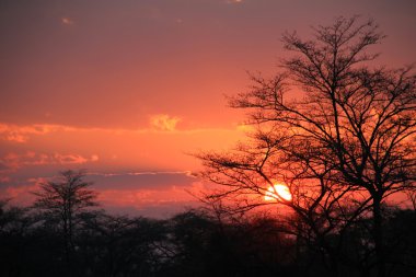 Sunset at Kwando River clipart