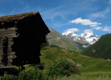 Alpler meadows