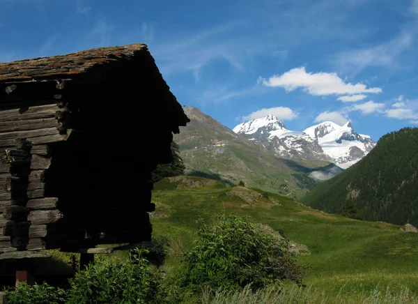 stock image Alps Meadows