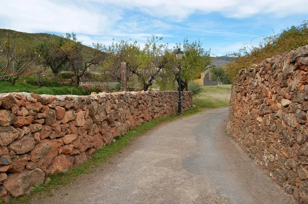 Antigua carretera empedrada en España — Foto de Stock