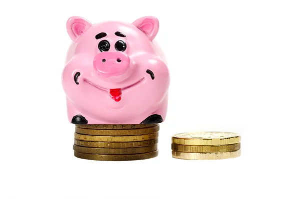 Roze varken moneybox en geld — Stockfoto