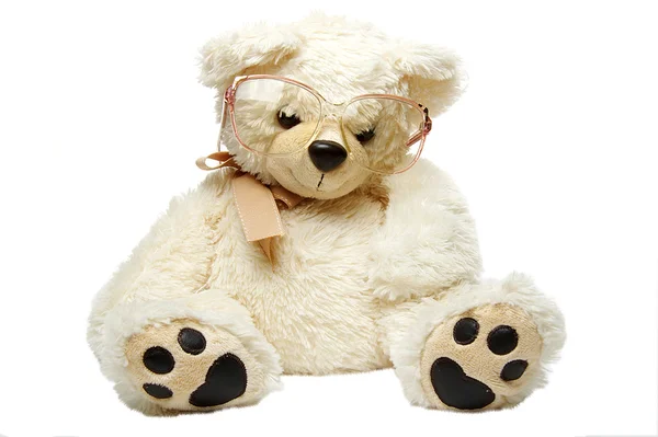 Ведмедик Тедді в окулярах ізольований Стокове Фото