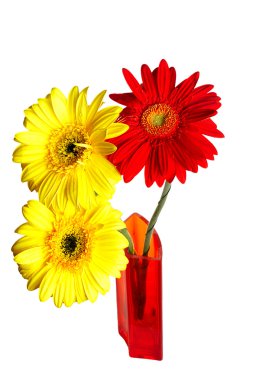 Üç gerbera cam aranjman