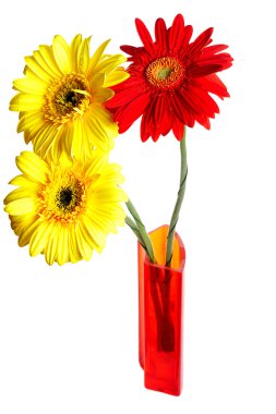 Üç gerbera cam aranjman