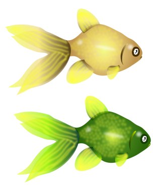 Beautiful fish clipart