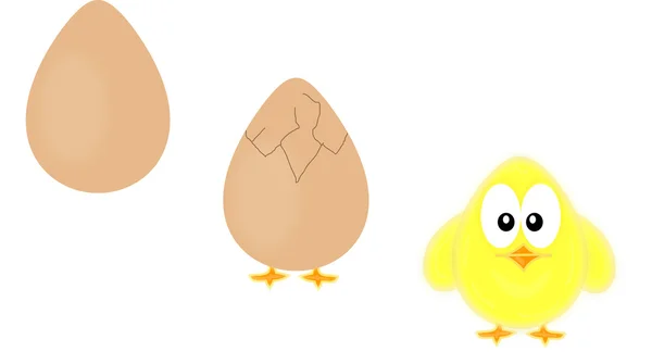 Frango e ovo — Vetor de Stock