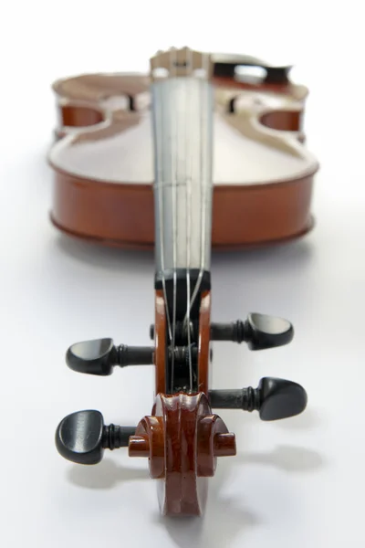 Close up of Viola — Stock Photo, Image