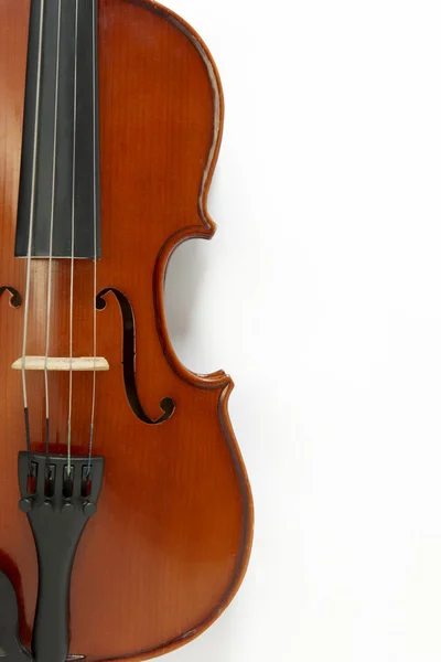 Detailní záběr viola — Stock fotografie