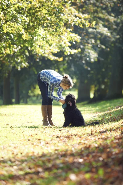 Woman with dog — Stock Photo, Image
