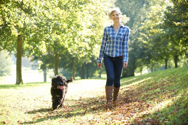 Woman walking dog — Stock Photo, Image