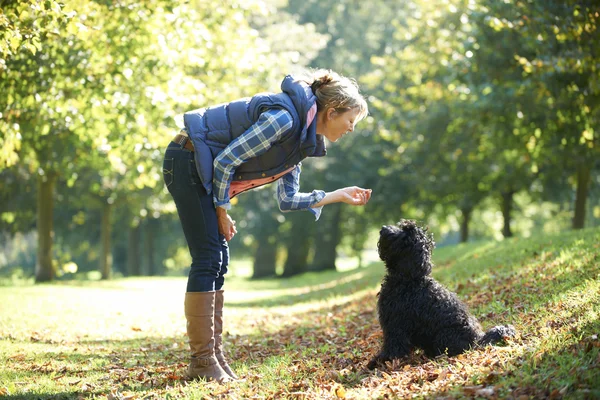 Nő kutyával — Stock Fotó
