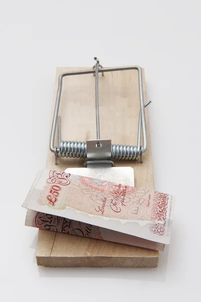 鼠标陷阱 50 英镑的钞票 — 图库照片