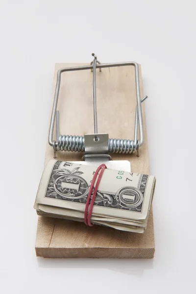 鼠标陷阱美元的钞票 — 图库照片