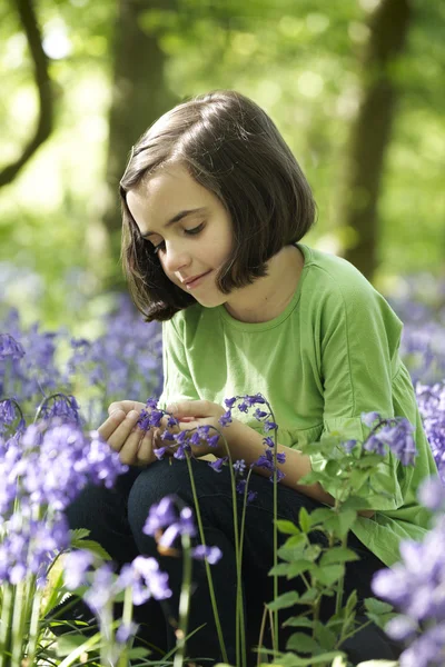 Child and bluebells — Stock Photo, Image