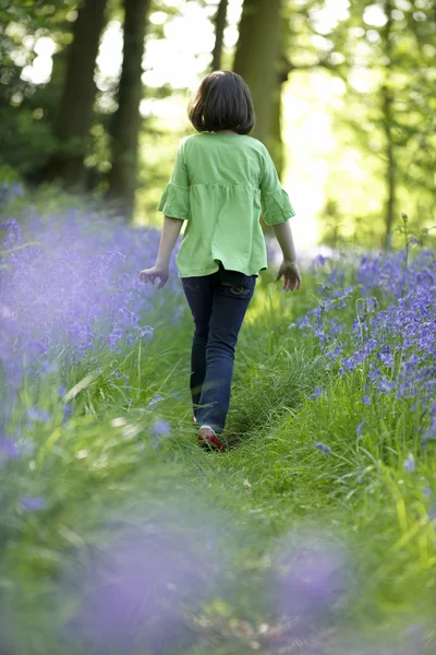 Çocuk ve bluebells — Stok fotoğraf