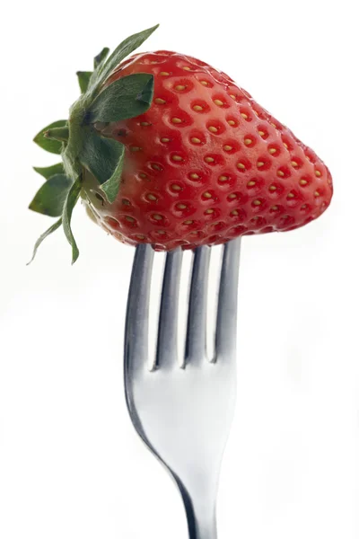 Erdbeere auf Gabel — Stockfoto